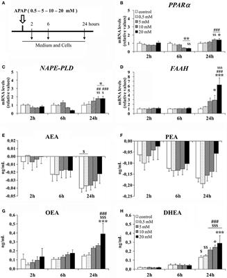 Acetaminophen-Induced Liver Injury Alters the Acyl Ethanolamine-Based Anti-Inflammatory Signaling System in Liver